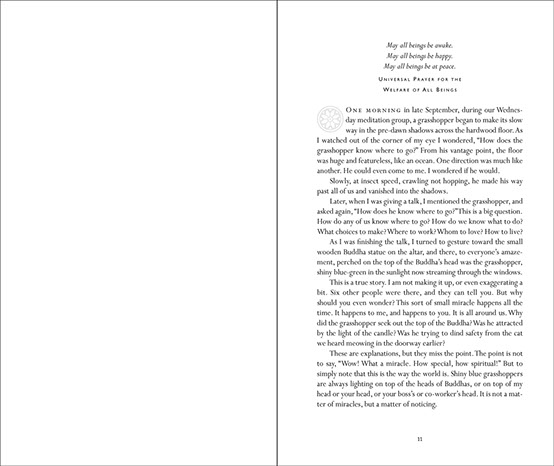 Buddha's Book of Sleep